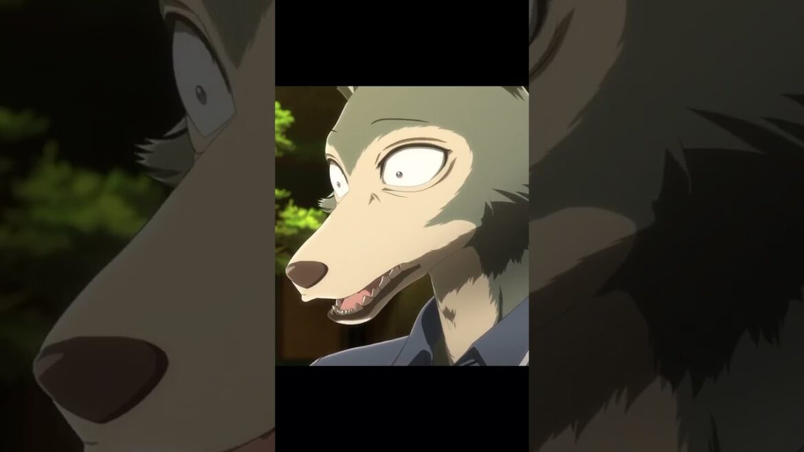 🐰Beastars 3 #anime #furry #shortanime