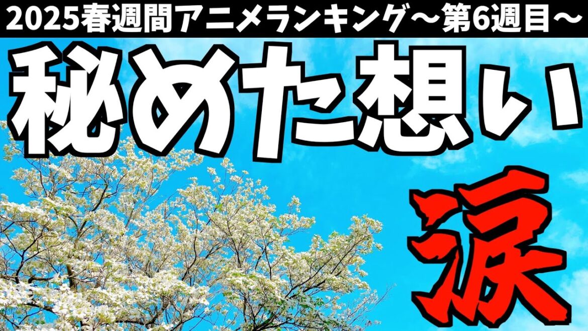 【5,6話】お互いの秘めた想いに感動が止まらない【WIND BREAKER / 個人的2025春週間アニメランキング / おすすめアニメ】