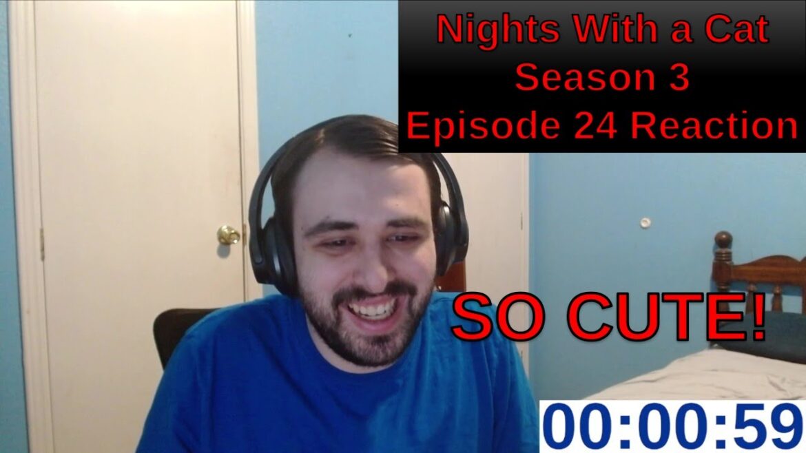 He Doesn't Want To Play | Nights With a Cat Season 3 Episode 24 Reaction | ANIME REACTION
