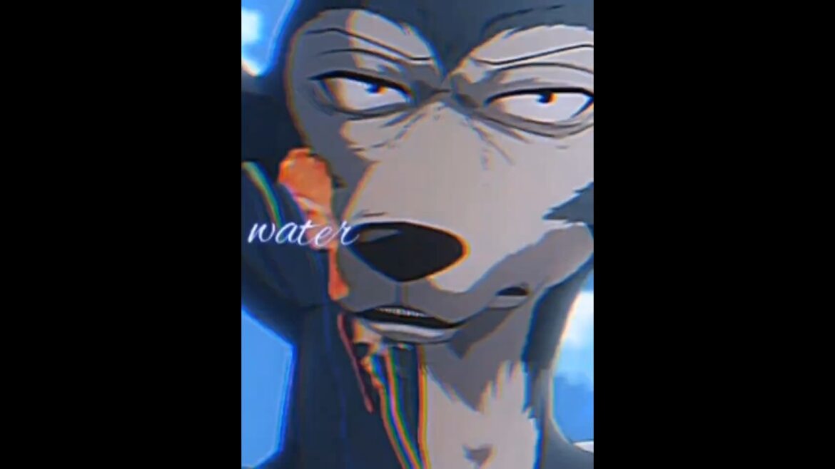 Beastars Legoshi water edit #fyp #beastars