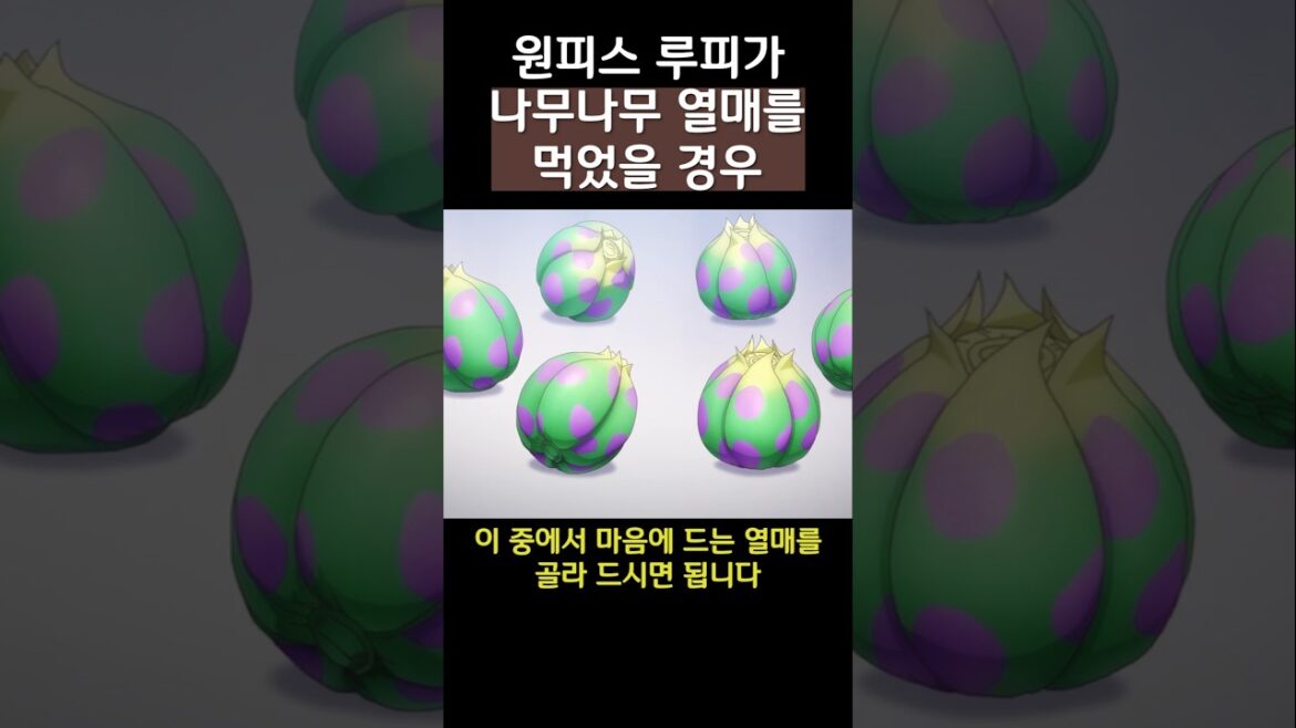 쓸모없는 열매를 먹은 평행세계의 루피?ㅋㅋㅋ