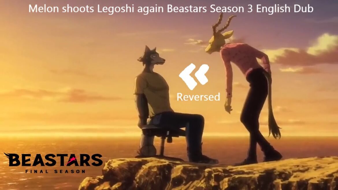 Melon shoots Legoshi again  Beastars Season 3  English Dub Reversed