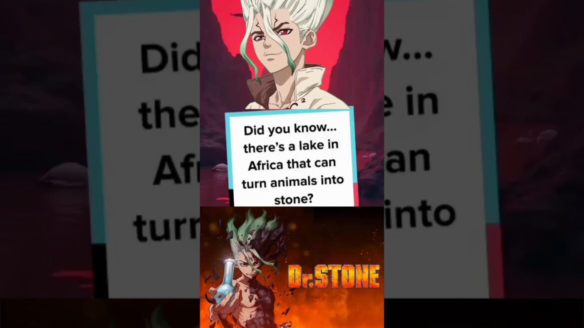 Lake that can turn animals into Stone #dailyfacts #factshorts #drstone #drstoneseason3 #fact #facts