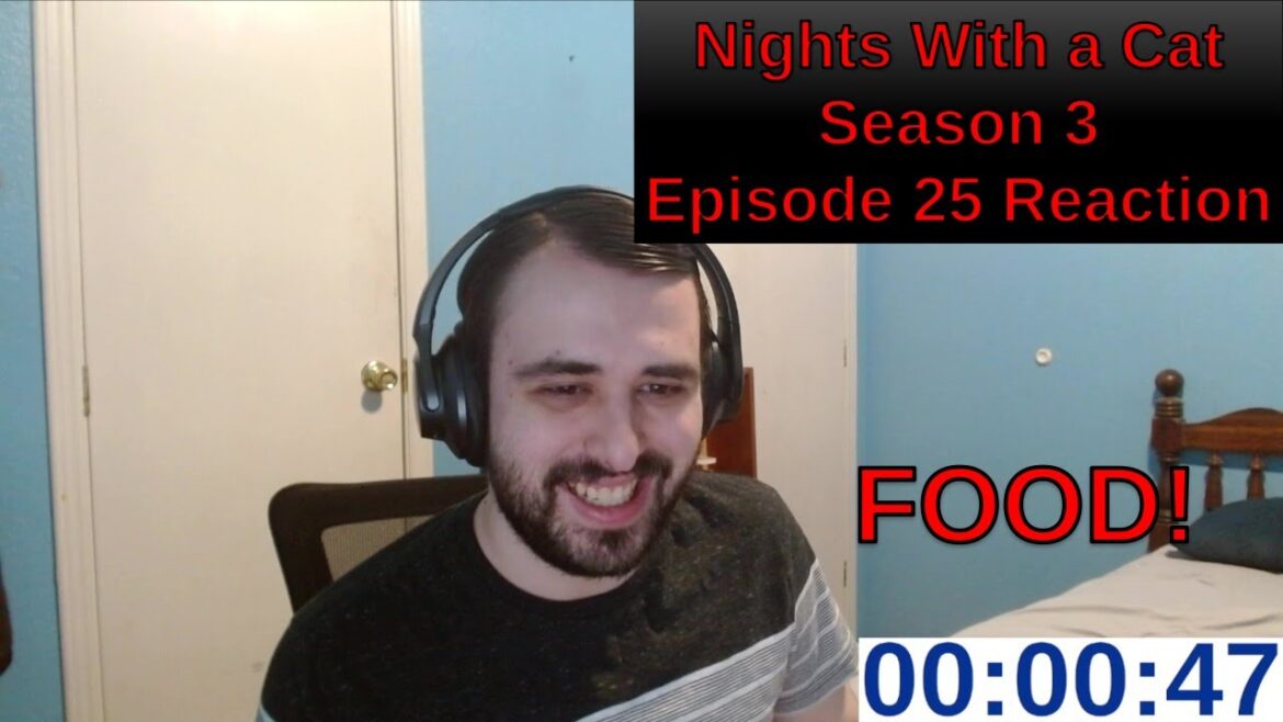 Kyuruga Wants Attention! | Nights With a Cat Season 3 Episode 25 Reaction | ANIME REACTION