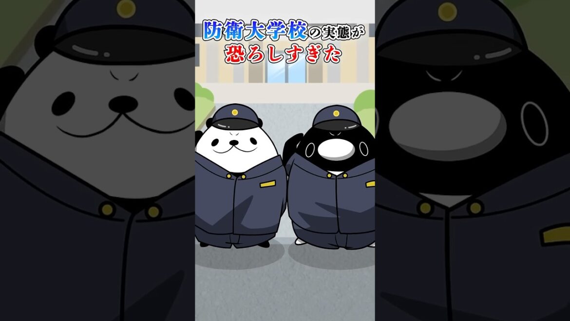 防衛大学校の実態が恐ろしすぎた【アニメ】#テイペン #plottアニメ