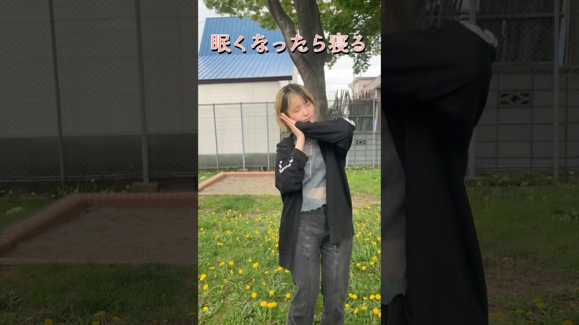 【明日の私に幸あれ】歌ってみたし踊ってみた！！