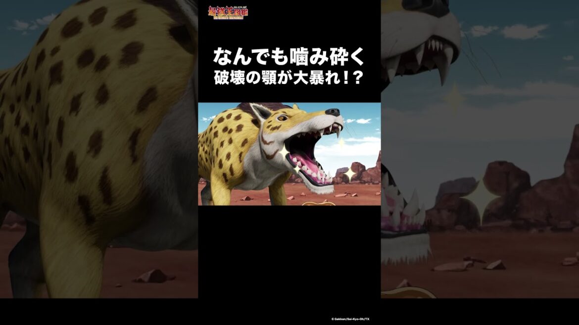 アンドリューサルクスの最強の顎 #最強 #動物 #豆知識