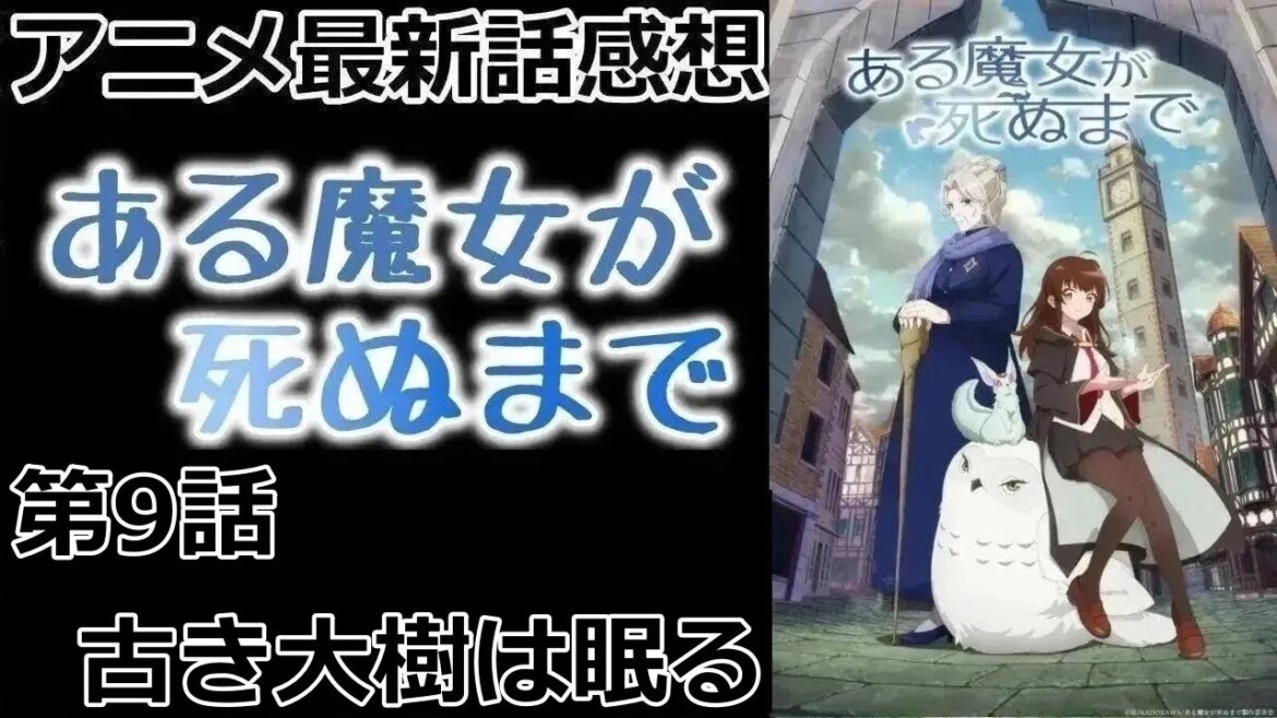 【感想】木を燃やす【ある魔女が死ぬまで】【レビュー】 【感想】木を燃やす【ある魔女が死ぬまで】【レビュー】