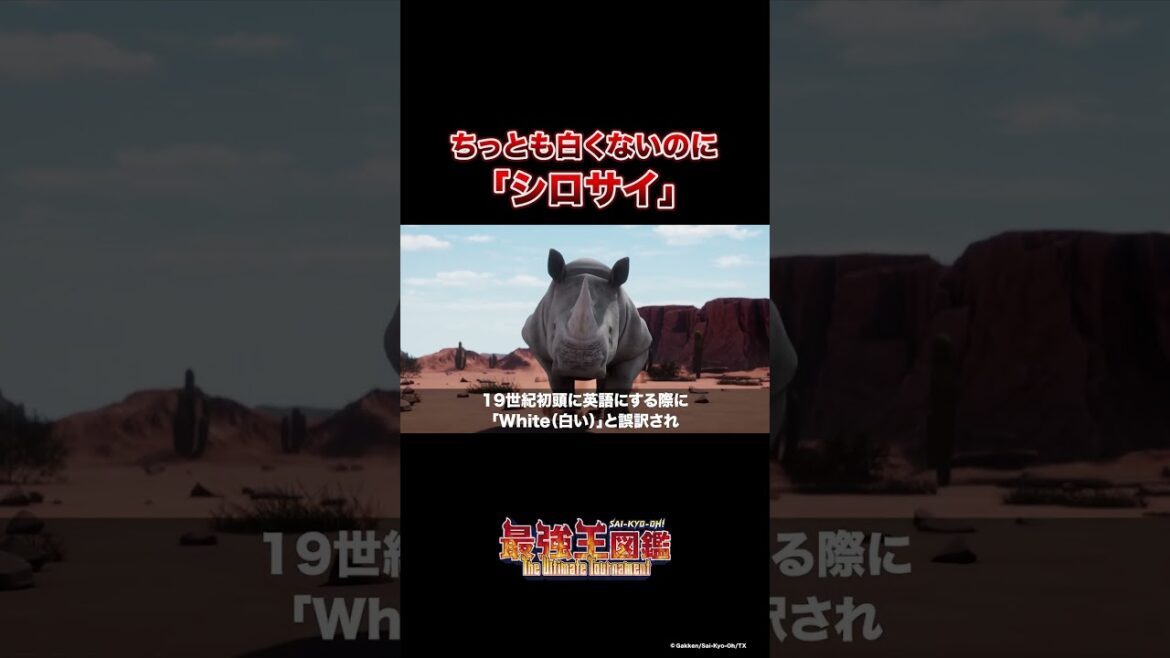 白くないのに「シロサイ」と言われるワケ #豆知識 #動物 #最強