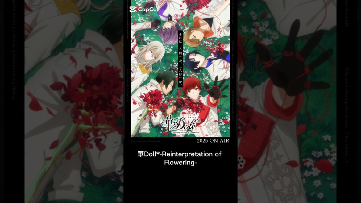 今期アニメ10段階評価。華Doll*-Reinterpretation of Flowering-