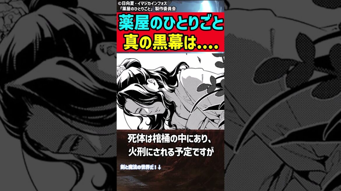 【薬屋のひとりごと】 2期で回収される伏線解説  #薬屋のひとりごと #猫猫 #アニメ #anime #壬氏