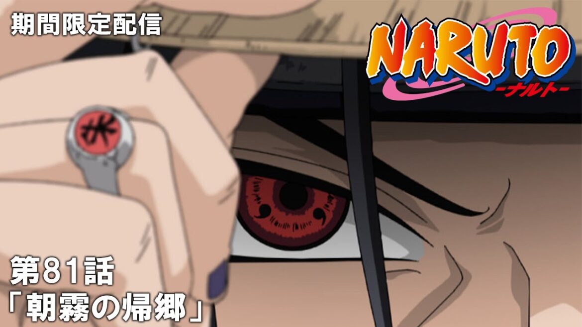 【公式アニメ】『NARUTO‐ナルト‐』第81話「朝霧の帰郷」【200万人記念！期間限定配信】