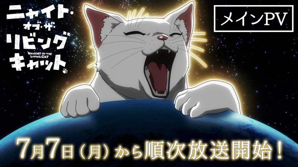 TVアニメ『ニャイト・オブ・ザ・リビングキャット』メインPV|7月7日放送開始/7月6日先行配信開始 TVアニメ『ニャイト・オブ・ザ・リビングキャット』メインPV|7月7日放送開始/7月6日先行配信開始