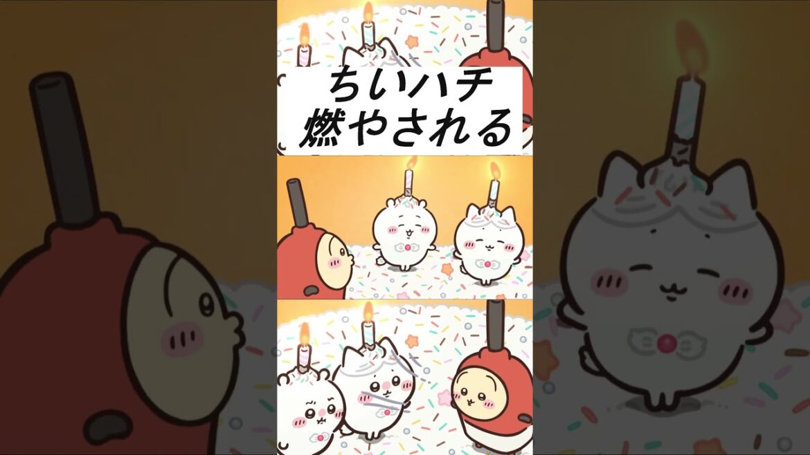 【ちいかわアニメ】お誕生日に燃やされる... #ちいかわ最新話 #ちいかわ誕生日 #ちいかわハチワレ