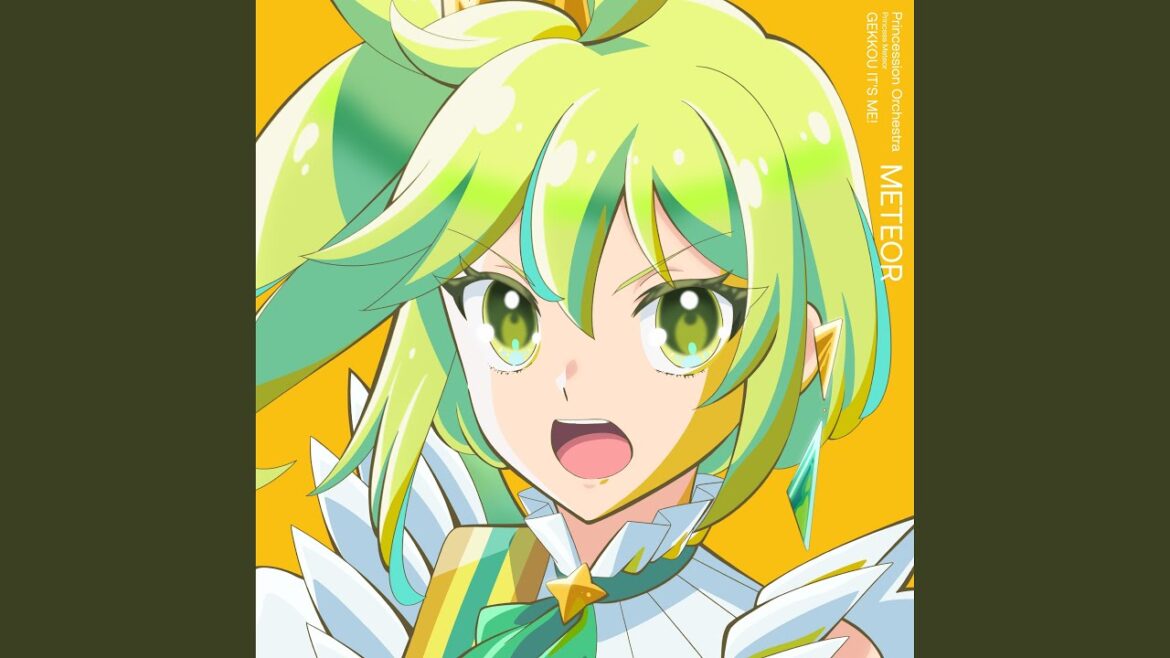 人生は流星だ☆彡