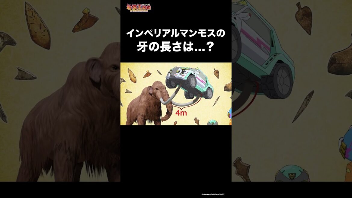 インペリアルマンモスの牙の長さは…？ #動物 #雑学 #最強