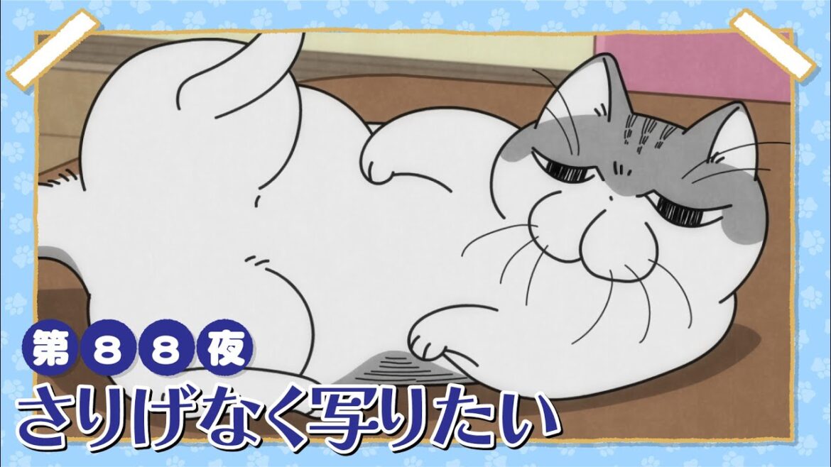 アニメ『夜は猫といっしょ』第88夜「さりげなく写りたい」 アニメ『夜は猫といっしょ』第88夜「さりげなく写りたい」