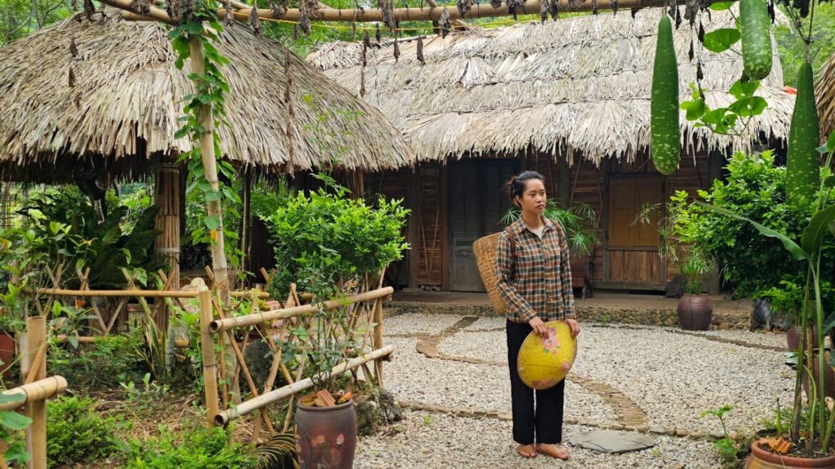 The poor girl returned the favor: Lien returned to the farm as promised! What about NAM?