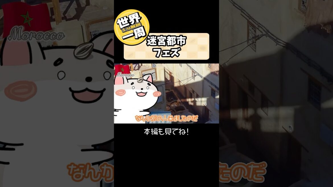 【一分解説 × 世界一周】モロッコ 迷宮都市 フェズ　染料の街はとっても入り組んでますのだー🇲🇦 写真で振り返るハムスターの世界一周 Ep58 #Shorts