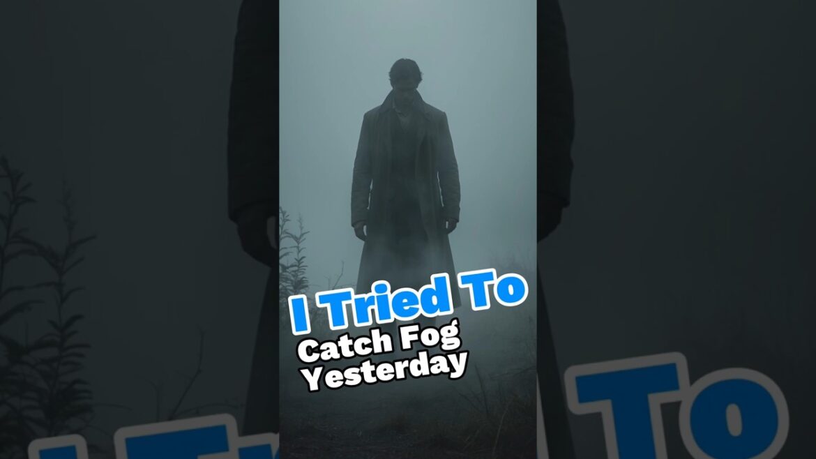 My Life Is A Little Foggy Right Now! #animation#piccityanimations #funny #fog
