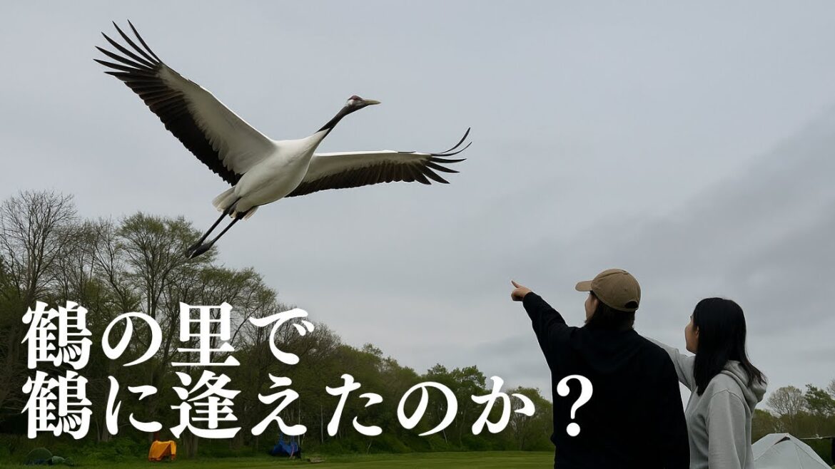 【女ふたり】鶴の住む街で素敵なオーナーに出逢えた女たち。《鶴の里キャンプフィールド/北海道鶴居村》 【女ふたり】鶴の住む街で素敵なオーナーに出逢えた女たち。《鶴の里キャンプフィールド/北海道鶴居村》