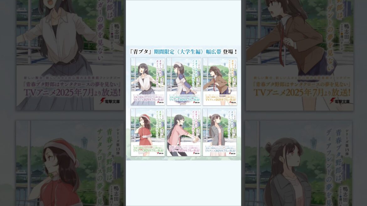 ¿El final de Seishun Buta Yarou será adaptado? 👀✨ • Nueva edición de las novelas ligeras 📚
