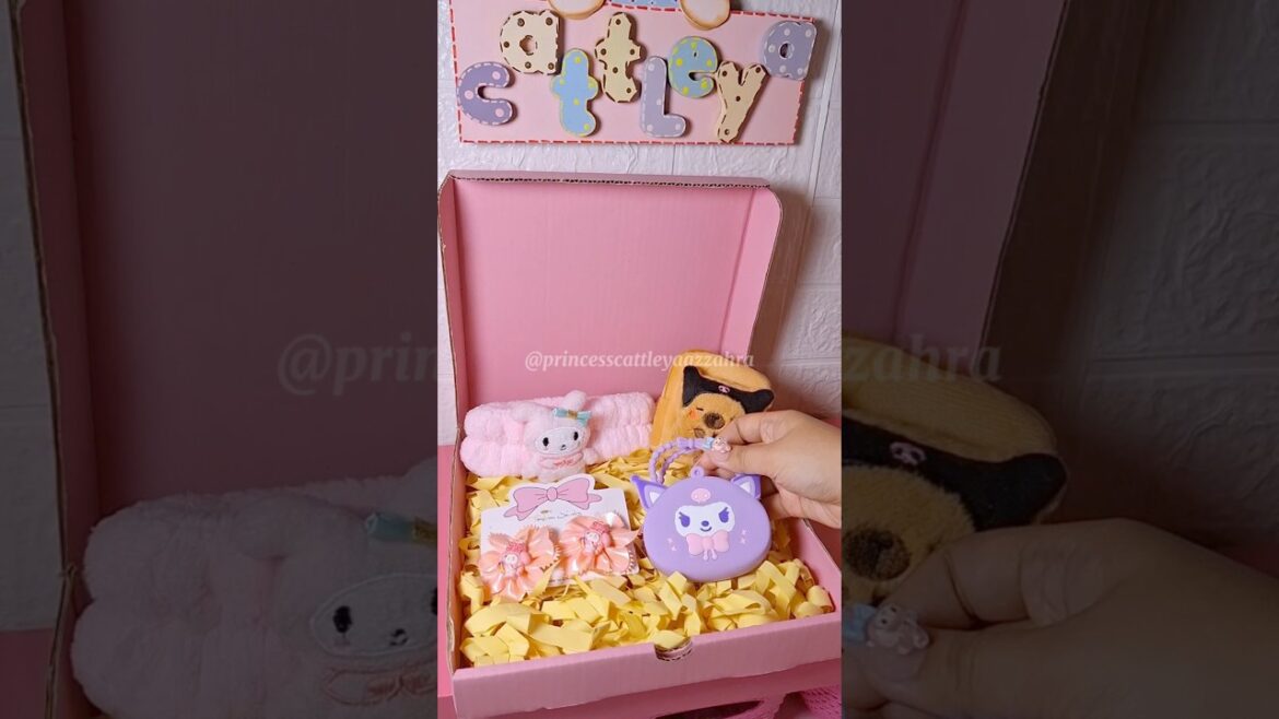 Packing My Melody vs Kuromi Capibara 🎁🎁 #sanrio #mymelody #kuromi #indonesia #jakarta #cinnamoroll