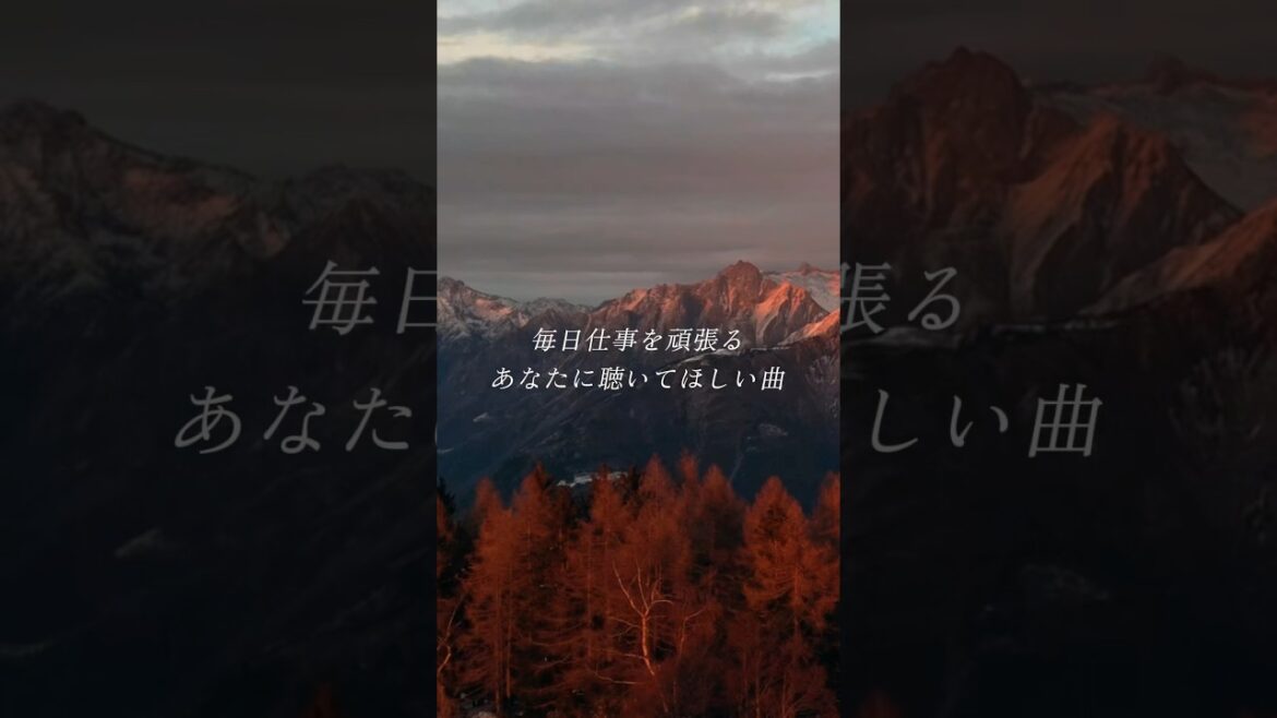 あなたは美しい。　#Myuk #guiano #japanesemusic #歌詞動画 #ずたぼろ令嬢は姉の元婚約者に溺愛される #夏アニメ #夏曲 #fyp