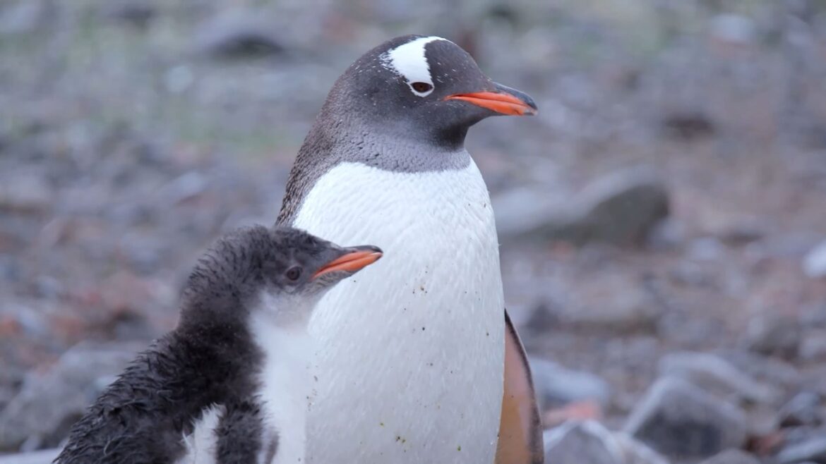 The most incredible places in the world – The Travel Detective The most incredible places in the world - The Travel Detective