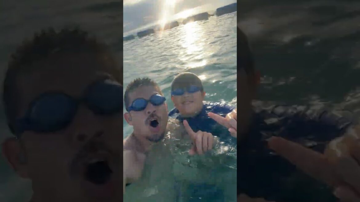 海で見つけたこの黒い物体はいったい何? 海で見つけたこの黒い物体はいったい何?