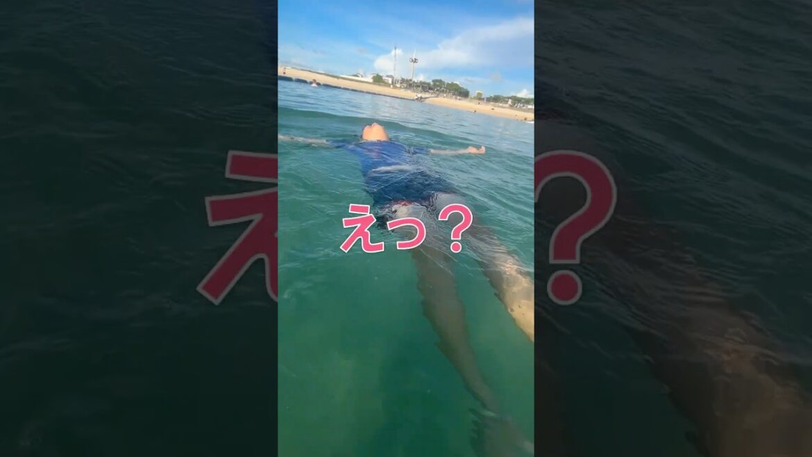 凄いっ!小学生が溺れてしまった時の対処法はコレ一択! 凄いっ!小学生が溺れてしまった時の対処法はコレ一択!