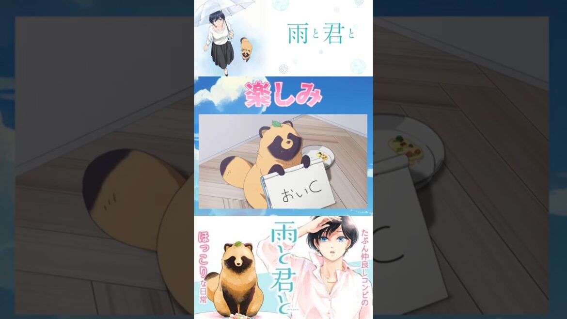 【ほっこり】TVアニメ「雨と君と」楽しみすぎる!! 2025年夏アニメ紹介⑩ #雨と君と #anime #shorts #2025夏アニメ 【ほっこり】TVアニメ「雨と君と」楽しみすぎる!! 2025年夏アニメ紹介⑩ #雨と君と #anime #shorts #2025夏アニメ