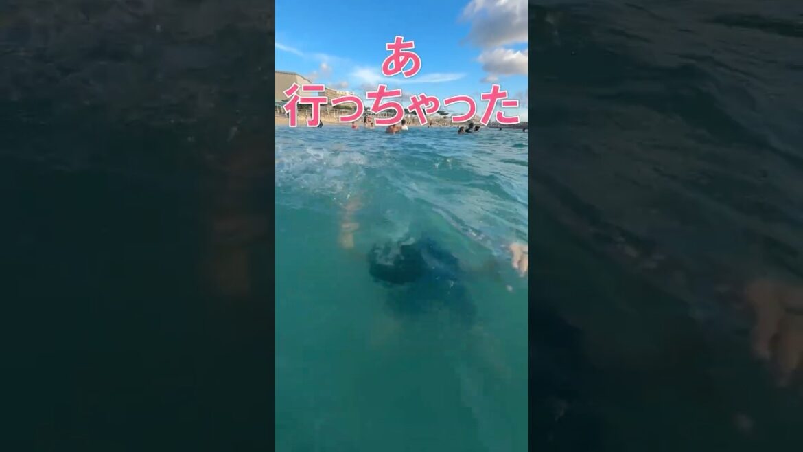 本州の人は知らない沖縄独特の海のルール！