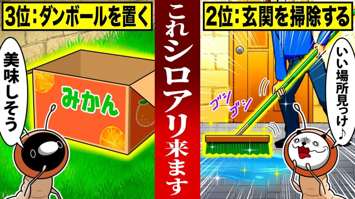 【これがあったら危険】シロアリを呼び寄せるNG習慣４選【アニメ】