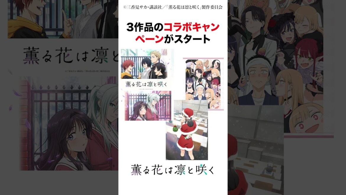 「青ブタ」「着せ恋」とのコラボがアツい…!!! #薫る花は凛と咲く#2025夏アニメ 「青ブタ」「着せ恋」とのコラボがアツい...!!! #薫る花は凛と咲く#2025夏アニメ