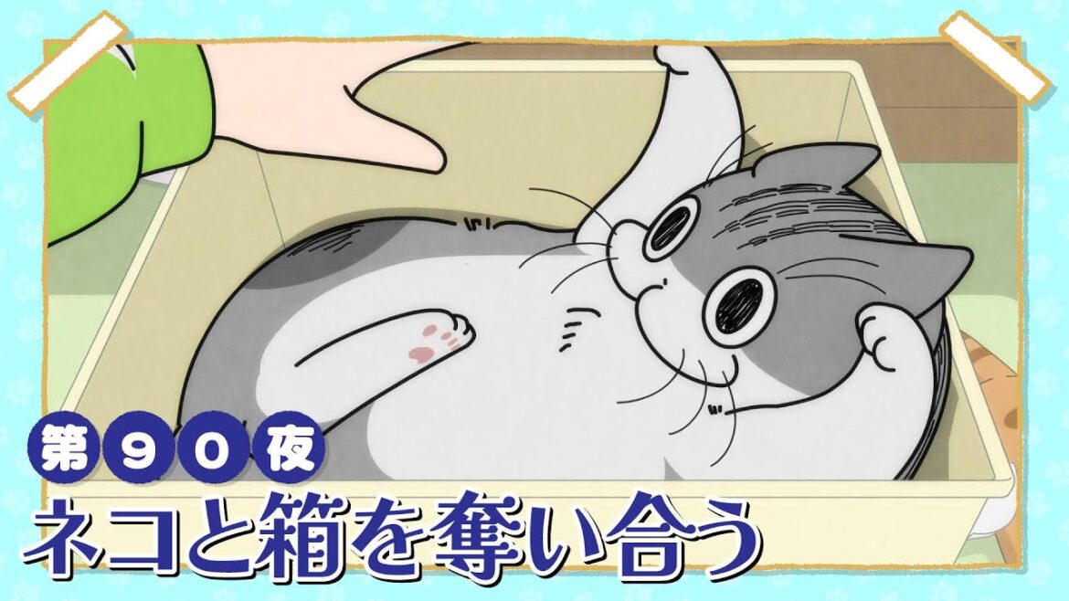アニメ『夜は猫といっしょ』第90夜「ネコと箱を奪い合う」