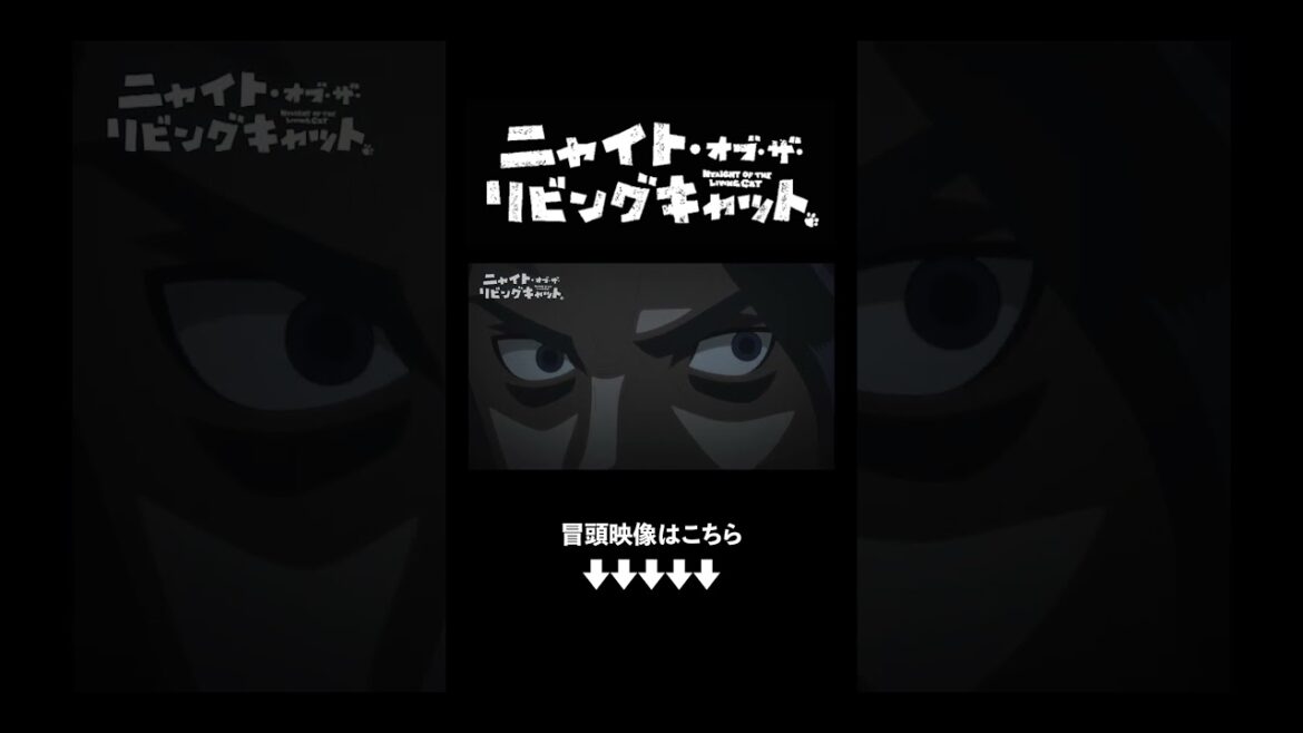 TVアニメ『ニャイト・オブ・ザ・リビングキャット』第1話冒頭映像｜7月7日放送開始／7月6日先行配信開始