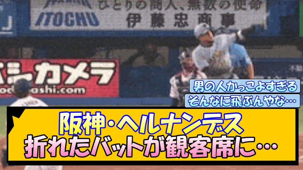 阪神・ヘルナンデス 折れたバットが観客席に… 阪神・ヘルナンデス 折れたバットが観客席に…