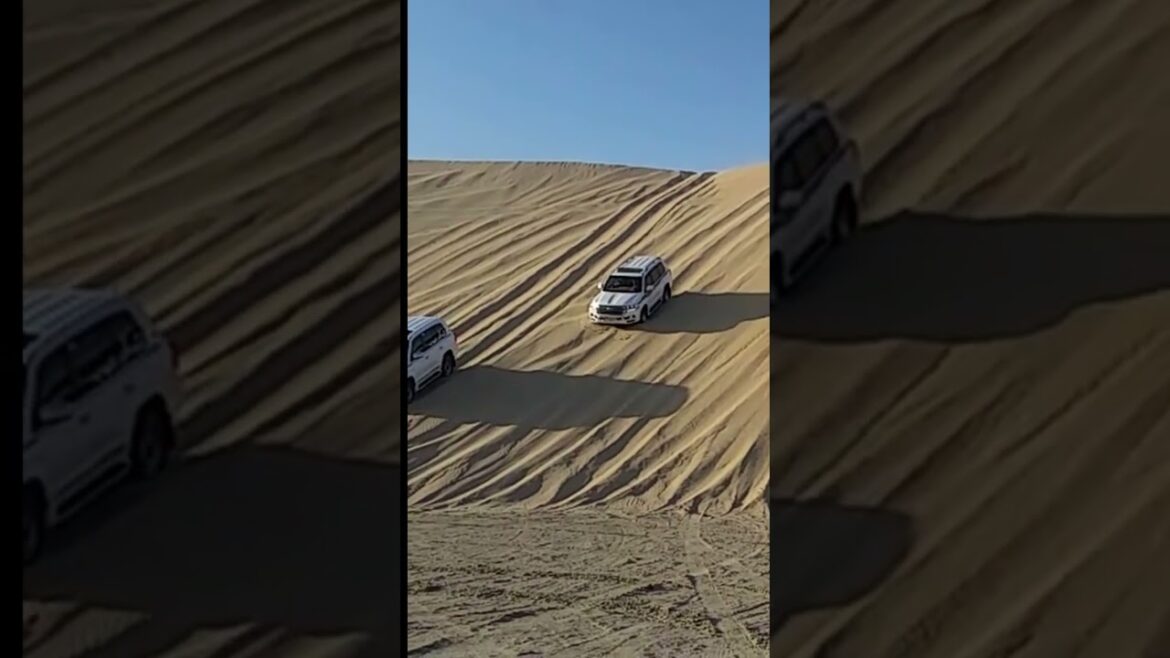 Landcruiser's 200 Series Down Sand Dune Qatar #youtubeshorts #shorts #landcruiser #vlog