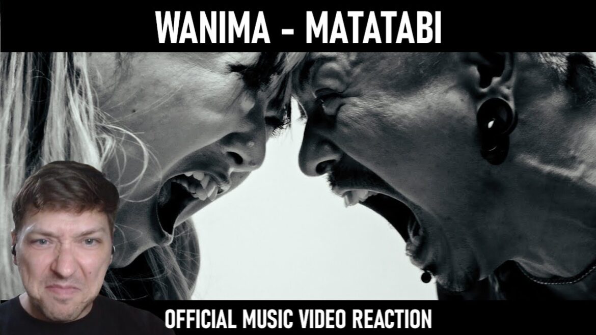 WANIMA - Matatabi | Night of the Living Cat (ニャイト・オブ・ザ・リビングキャット) ED | Official Music Video Reaction!
