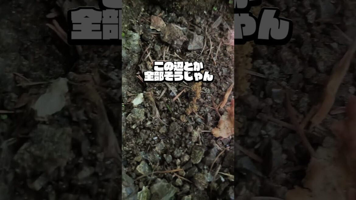 【瑠璃の宝石】金の入ったガーネットは見つかりませんでした【宝石研磨職人見習いVtuber】