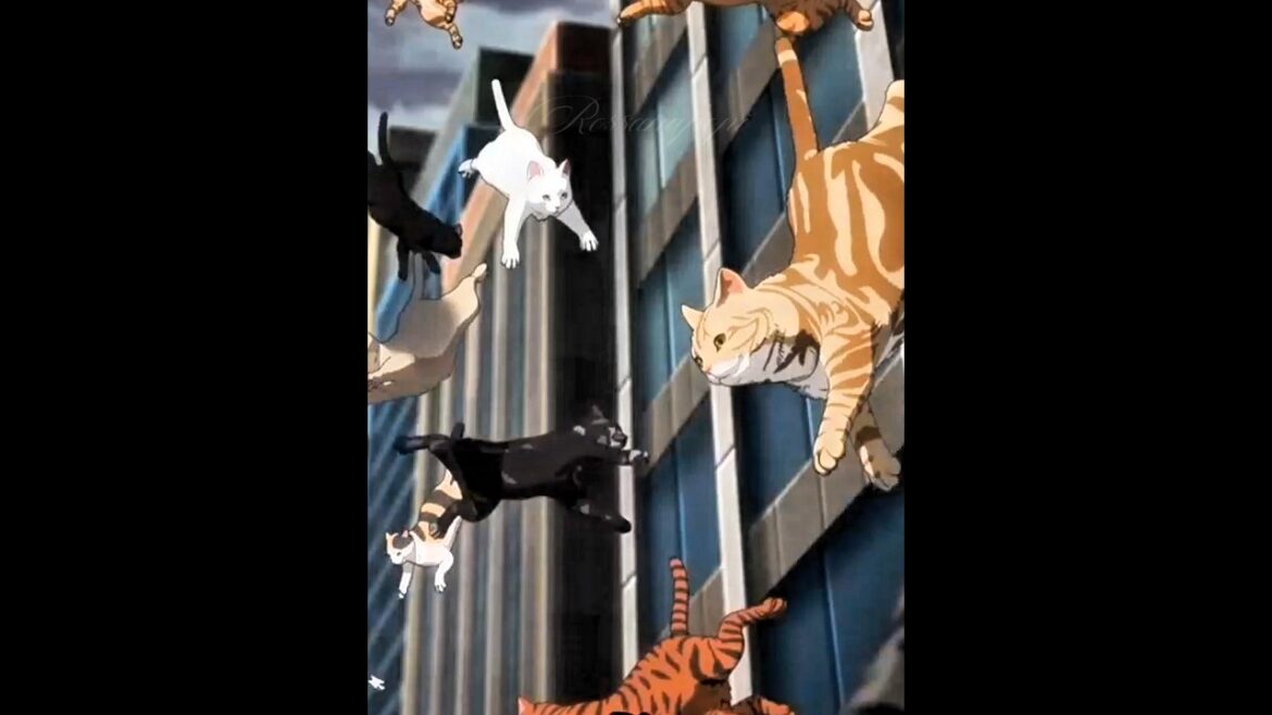 Cats will conquer the world 🌍 #nyaightofthelivingcat #ニャイトオブザリビングキャット #nightoftheliving cat #anime