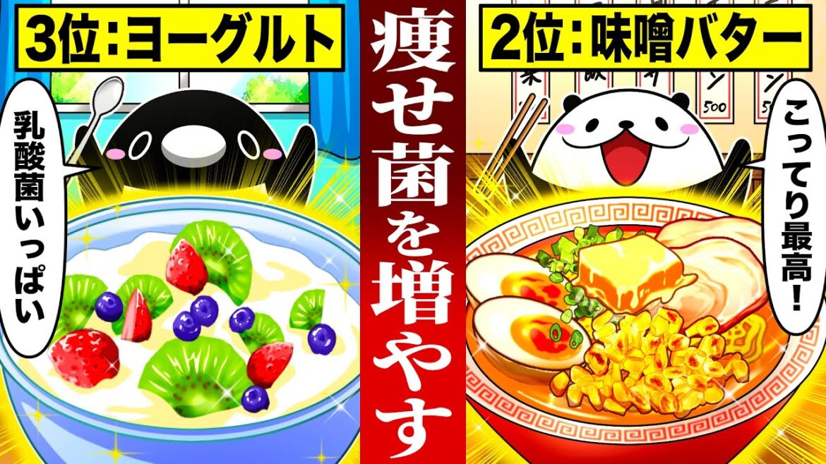 【日本人の9割が持つ】痩せ菌を増やす食べ物５選【総集編】【アニメ】