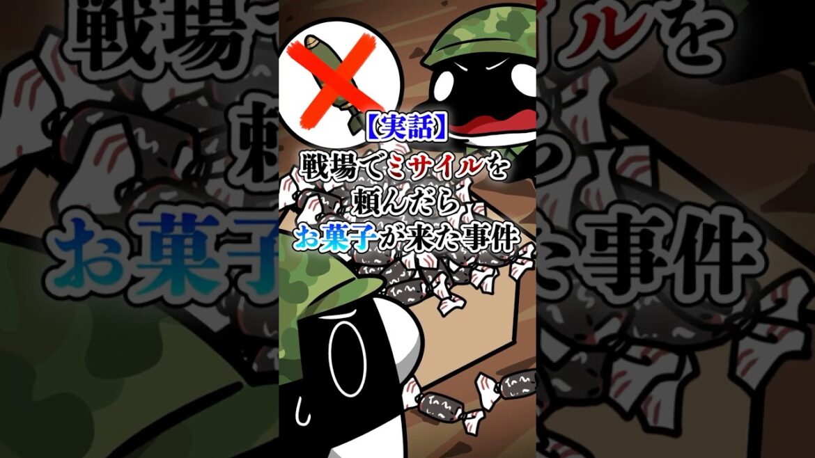 【実話】ミサイルを頼んだらお菓子が来た事件【アニメ】#Plottアニメ #テイペン