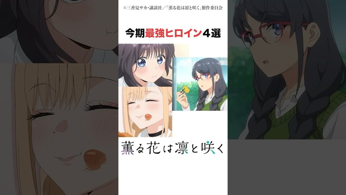 ㊗️20000再生🎉あなたは誰が好き？最強ヒロイン４選　#薫る花は凛と咲く #その着せ替え人形は恋をする #青ブタ