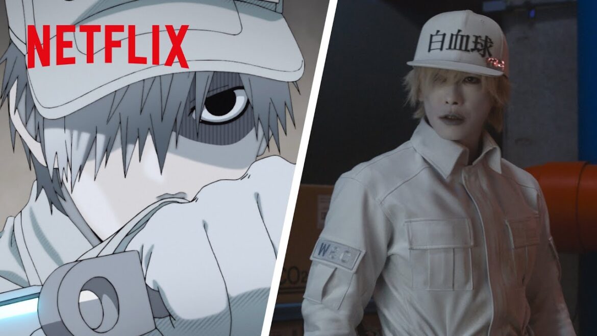 アニメ×実写『はたらく細胞』- 肺炎球菌を排除せよ！🔴⚪️🔴⚪️ | Netflix Japan
