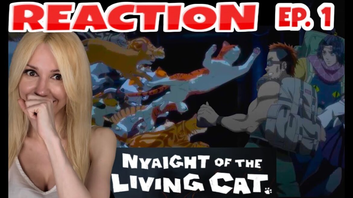 Night of the living Cat Ep 1 Reaction Video Episode 1 Everything Becomes Cat ニャイト・オブ・ザ・リビングキャット CUTE Night of the living Cat Ep 1 Reaction Video Episode 1 Everything Becomes Cat ニャイト・オブ・ザ・リビングキャット CUTE