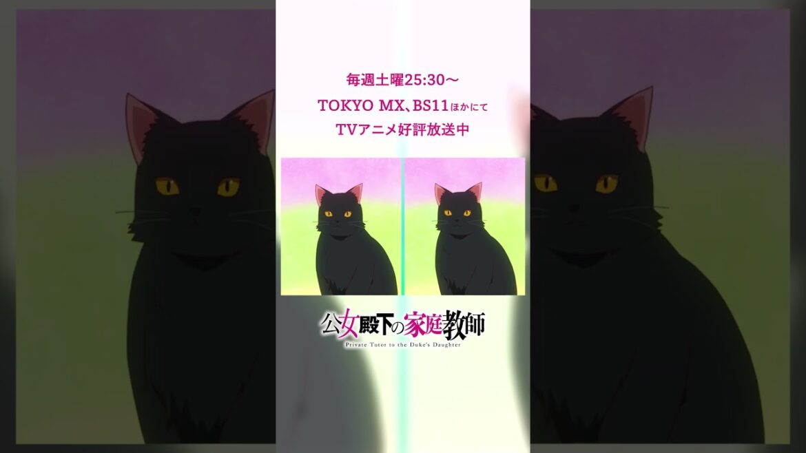 TVアニメ『公女殿下の家庭教師』ノンクレジットEDムービー｜岡咲美保「少女のすゝめ」