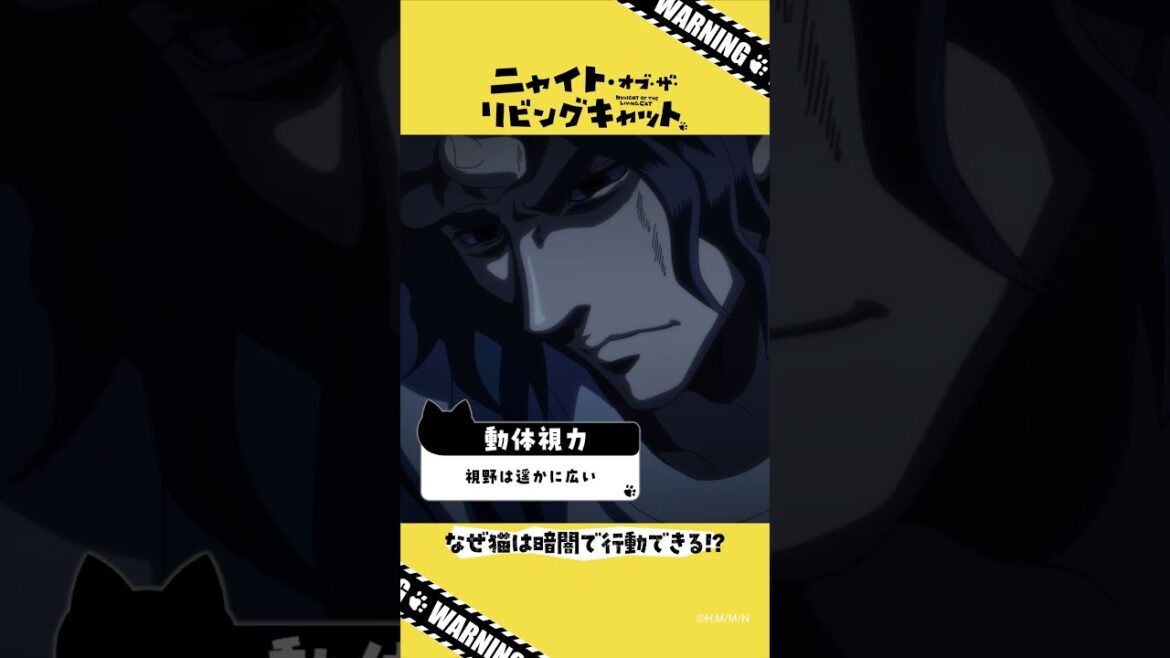 TVアニメ『ニャイト・オブ・ザ・リビングキャット』猫知識「なぜ猫は暗闇で行動できる!?」
