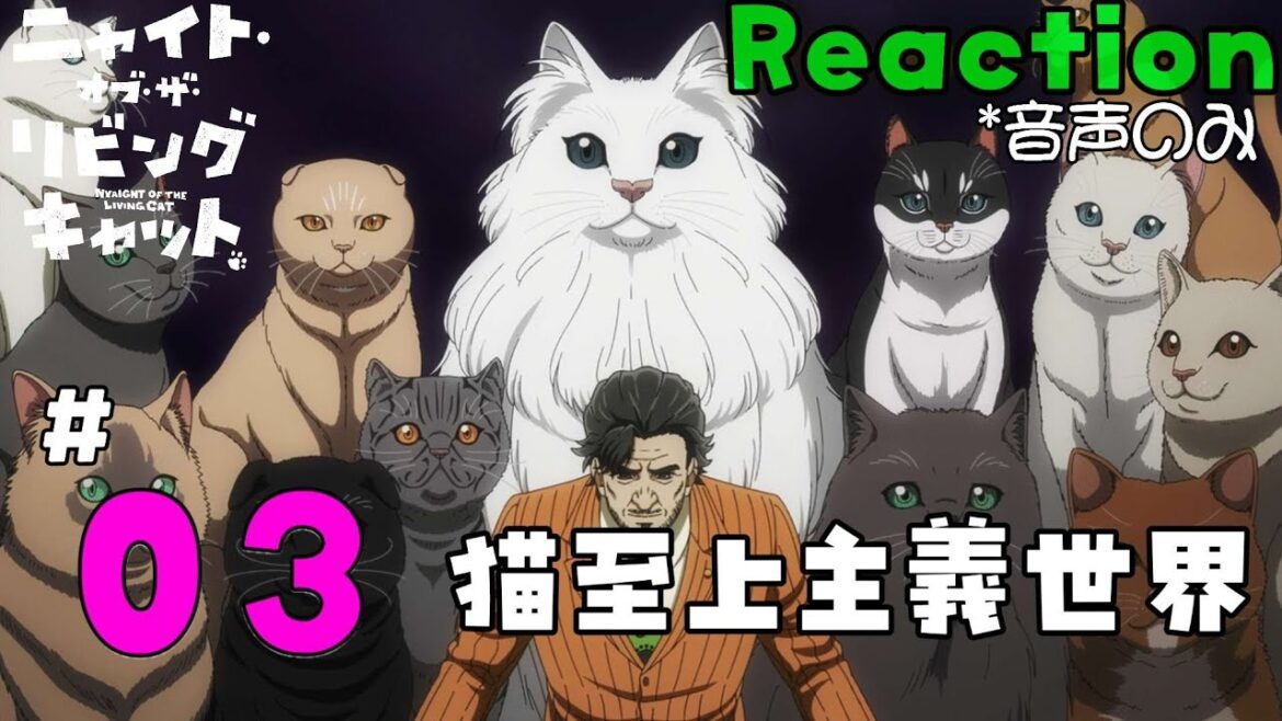 【同時視聴】ニャイト・オブ・ザ・リビングキャット　Chapter 3　アニメリアクション　ニャイリビ　Episode3　Anime Reaction